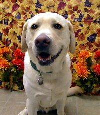 Sampson Thanks 10.jpg